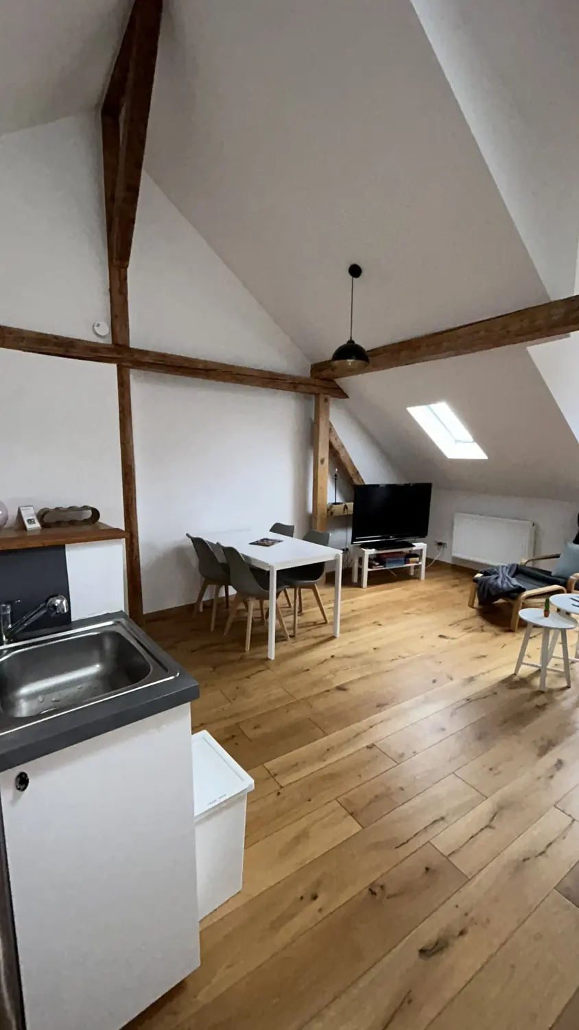 Ferienwohnung Schütz - Wohnzimmer mit Sofas und weiteren Accessoires