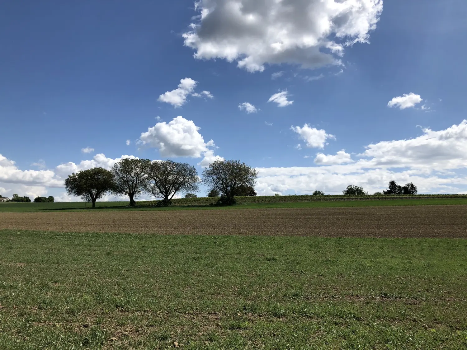 Ferienwohnung Schütz - Grüne Felder 