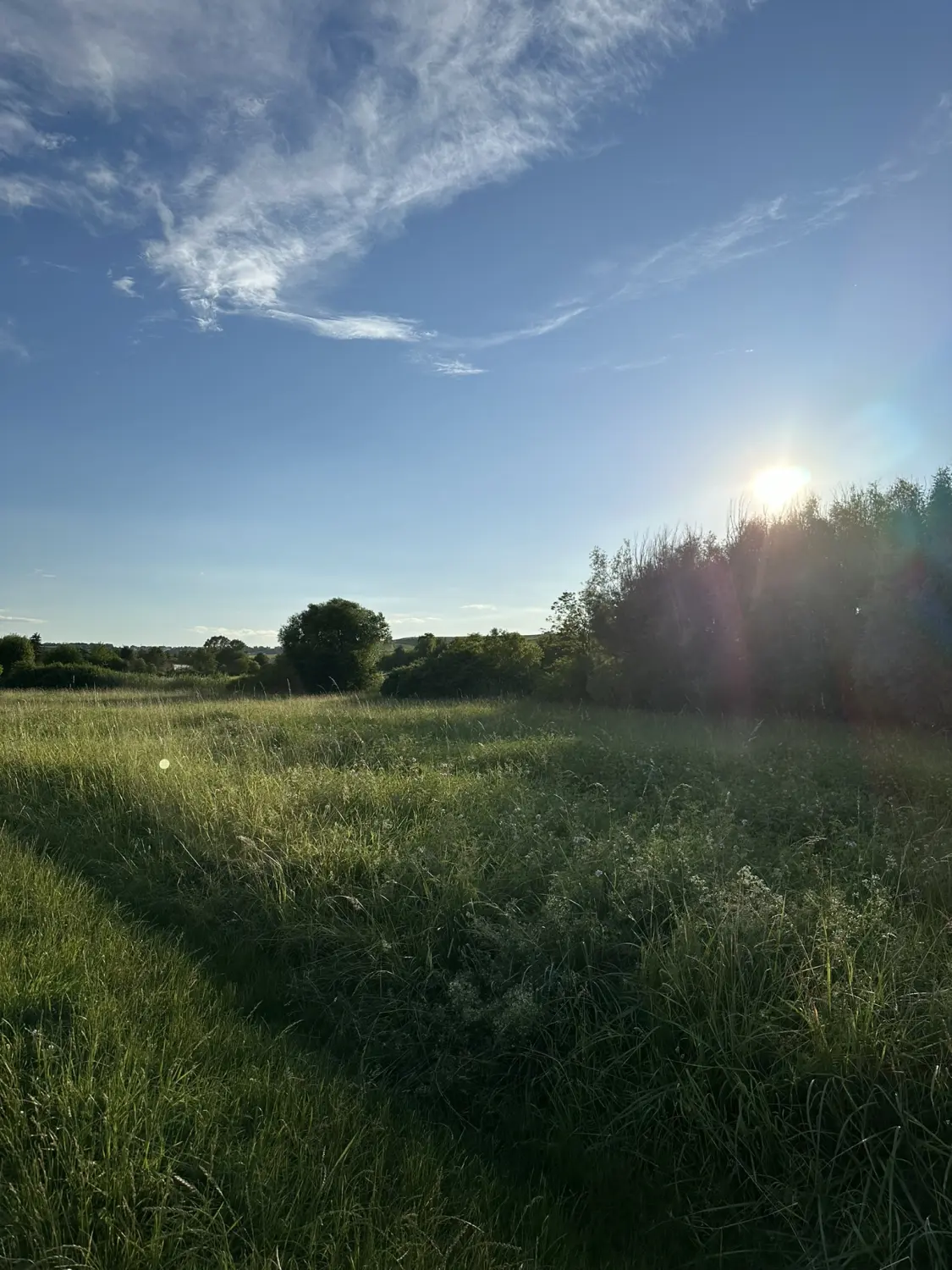 Ferienwohnung Schütz - Grüne Felder